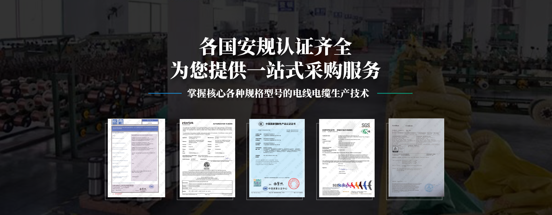 蓝跃-掌握电线电缆生产技术